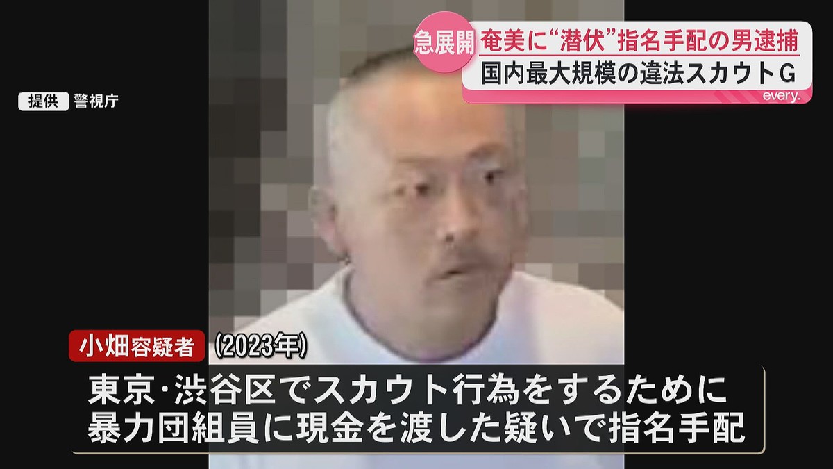 指名手配犯の潜伏先は奄美大島…違法スカウトグループのトップを逮捕「似ている人物いる」情報提供から急展開 - ライブドアニュース