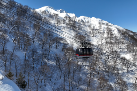 谷川岳で楽しむ“空中ピクニック”体験ガイド