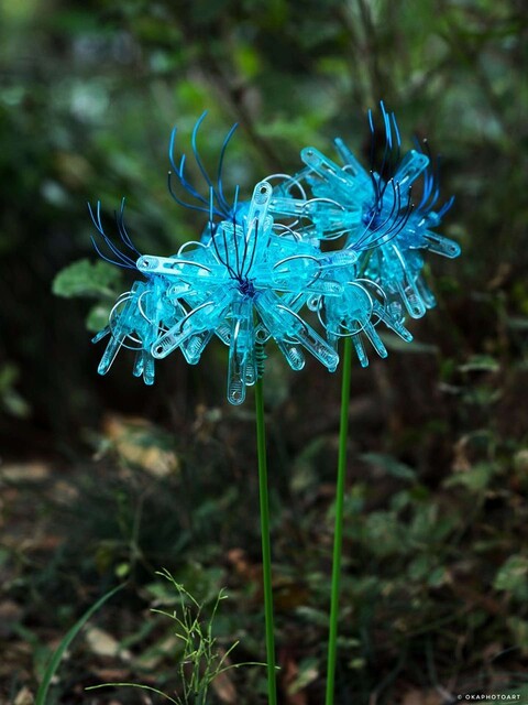 花びらが透きとおってる 美しい 青い彼岸花 に13万いいねの大反響 まさかの正体に 凄すぎる ライブドアニュース 花びらが透きとおってる 美しい 青い彼岸花 に13万いいねの大反響 まさかの正体に 凄すぎる ライブドアニュース