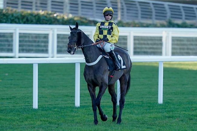 重賞で1番人気の馬がまさかの“スタート拒否” 欧州競馬の大珍事に英