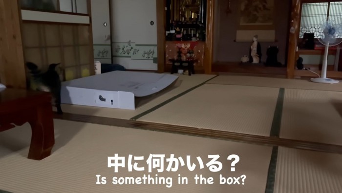 ˲롩