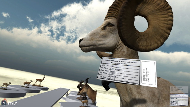 国立科学博物館秘蔵のはく製コレクションが 3Dビュー+VR映像で楽しめる!「THE WILDLIFE MUSEUM」公開