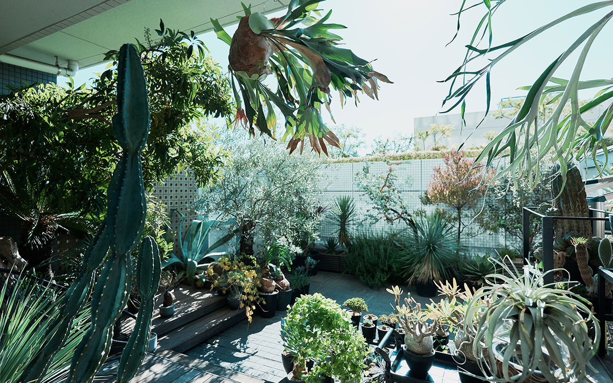 （写真撮影／相馬ミナ）