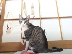 Ʋ���Ⱦ�Ҥ��ˤ롪
