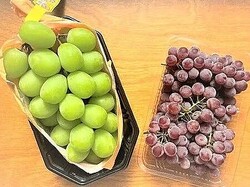 �֤ɤ��ä�������¸�Ǥ���Ρ������ɥ��㥤���͡ɤȥǥ饦�����Ǥ�äƤߤ���ġ�