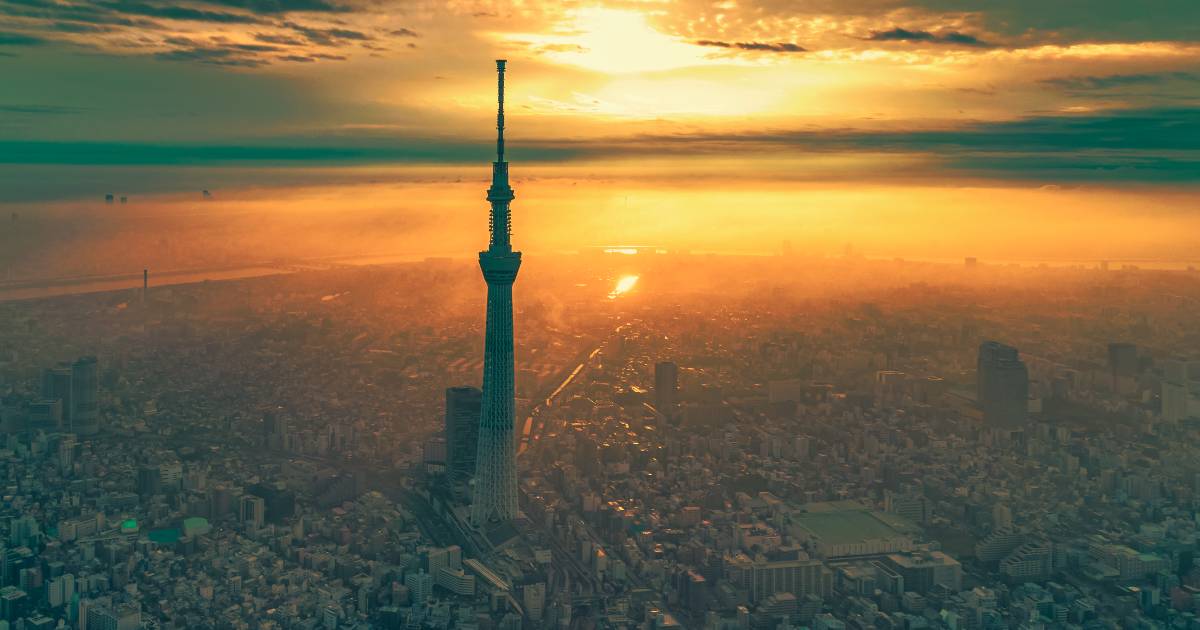 なぜ白鵬は嫌われたのか 角界に潜むウラ話の数々