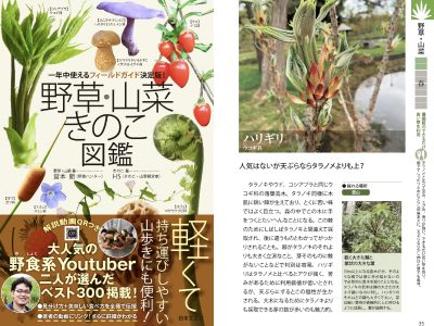 ��黳�ڤ�ŷ�פ�ˤ��餱�ʤ��Ԥ��礭��������ĥϥꥮ��Ȥϡ��������𡦻��ڡ����Τ��޴ա�