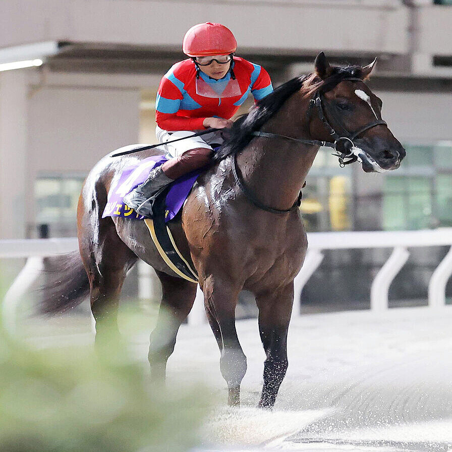 第26回 ジャパンダートクラシックJpnⅠ 的中単勝馬券