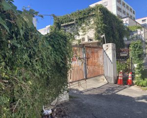 ���������Ȥʤä������ȡ�20ǯ�ʾ����֤������ҤΤ褦�ˤʤäƤ���ʺ�ǯ8��ơ��̿��󶡡��ƣ�����ˡ�