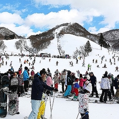 記録的な雪不足 廃業するスキー場も出るのでは と自治体職員が危惧 ライブドアニュース