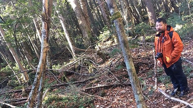 コンパスが効かない迷いの森 樹海に伝わる 都市伝説 の真実 ライブドアニュース