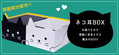 200801nekomimibox_01