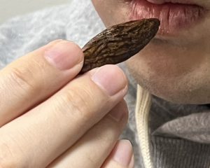 記者が試食してみたところ口の中や舌が痺れるような感覚があった