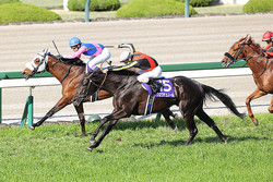 ������� ����1�奯����ǥ��ー�롢2��ᥤ���祦���Х롢3����Υ�ǥ�����