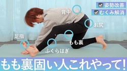 前屈が苦手な人へ。“足裏から”ほぐす筋膜ストレッチで劇的改善