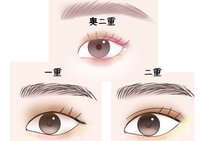  ššŤܤη̡碌֥饦󥢥ᥤ 