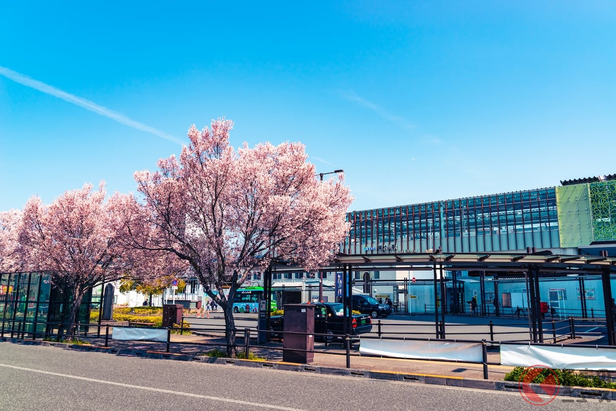  ��¼���������ʼ̿���25ǯ4��Τ�Ρ�G-item��PIXTA�� 