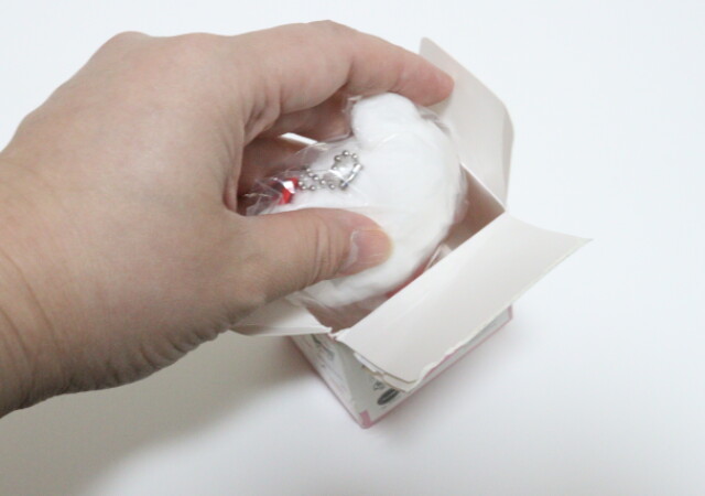 これはいいんか...?さすがに想定外だよ!可愛いけど…思ってたのと違った100均商品