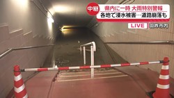 �ƥ�Ӷ���NEWS