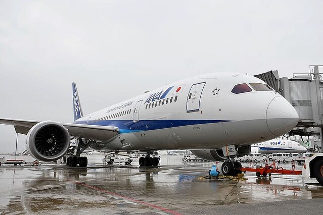 ANA、787就航10周年 初号機と2号機で記念フライト - ライブドアニュース