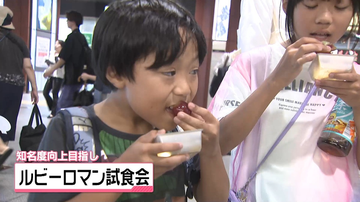 �ƥ�Ӷ���NEWS