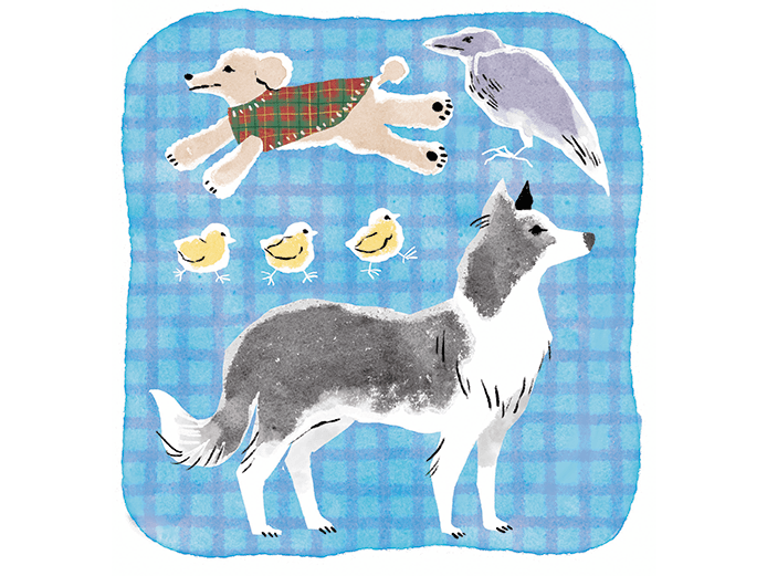 イヌの「こころ」、膨らむ想像　青来有一