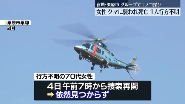 宮城で女性がクマに襲われ死亡 グループの女性が依然見つからず