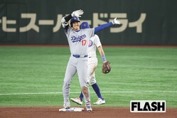  ���������ë��ʿ�ʼ̿����������� 