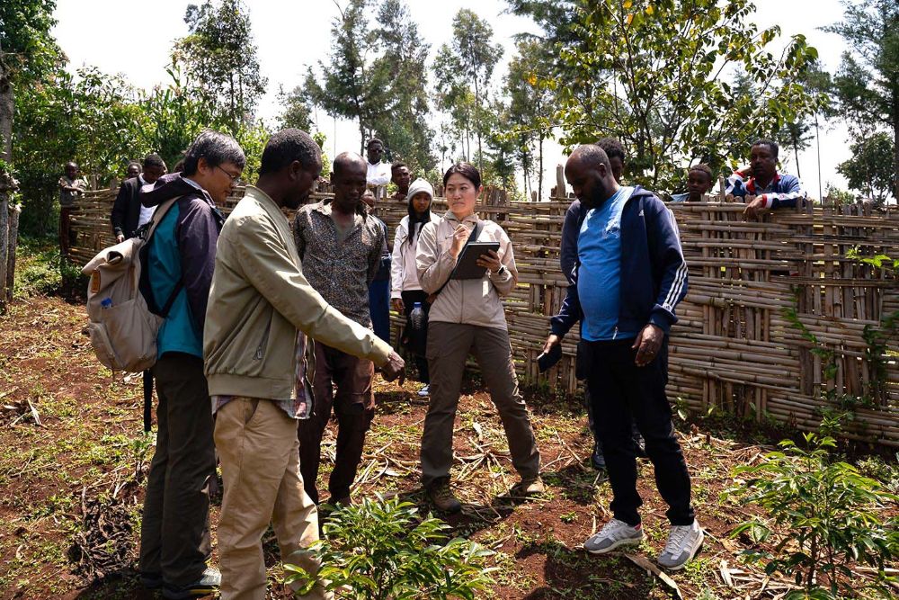 ҡԤ˻ٱ Ǥΰι߱ʼ㲼