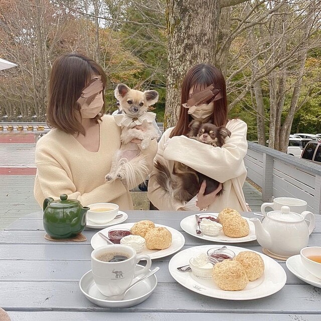 愛犬と一緒に那須に行こう♡わんちゃんと一緒に映え活が楽しめるスポットを紹介!