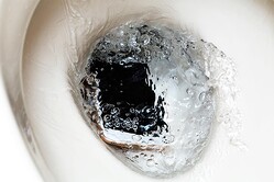 �ȥ���˥��ޥۤ���Ȥ�����ä���