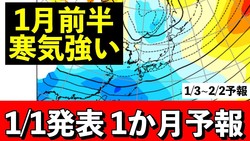 �ڵ���ͽ��Τ������1���ŷ������Ⱦ�϶���������� ������������������