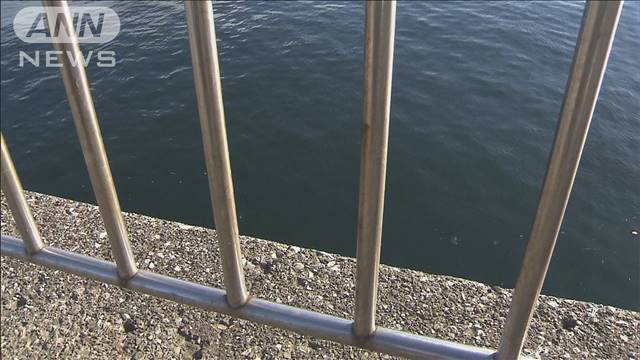 画像 2歳女児が海に転落し行方不明 両親と釣りに ライブドアニュース