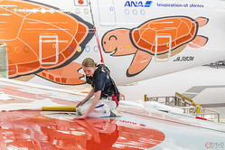 Anaのエアバスa380型機 フライングホヌ は通常の6倍以上 その塗装現場 ライブドアニュース