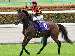 �饹�ȥ���ޤ��륰��󥢥쥰�ꥢ(���ơ�����ͺ��)