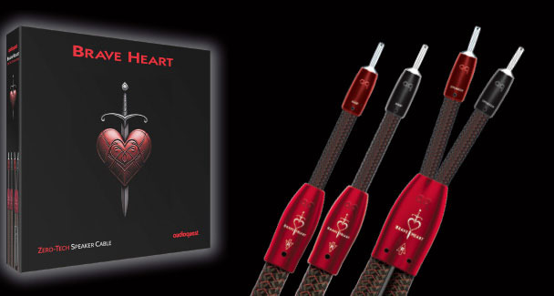 韓国限定 弓カーボン 赤 5個セット