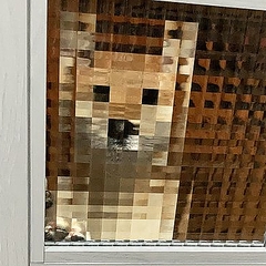 マイクラ モザイク お出迎えの柴犬ドット絵状態になった写真 ライブドアニュース マイクラ モザイク お出迎えの柴犬ドット絵状態になった写真 ライブドアニュース