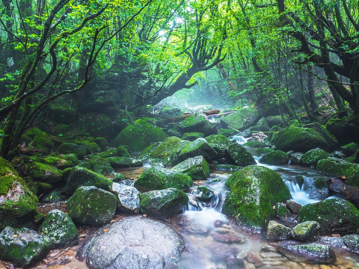 「勉強して行きたくなった」世界遺産は？