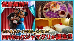 YouTuber���ߥ�ー�ޥ����Υѥ���ޥ�ー�ƥ�ー�ץ�������­������Х���ー�ۥƥ�ǿ����ʳڤ��ߤ�ȯ��