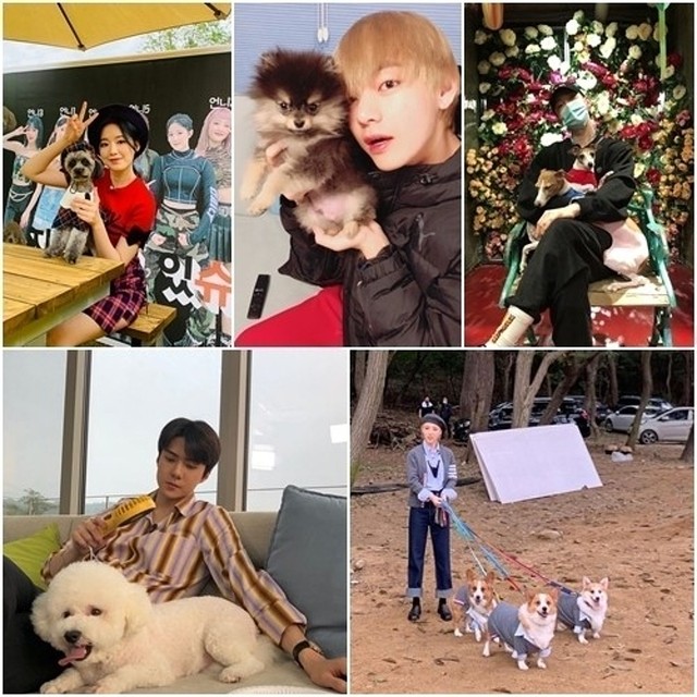 アイドル BTS BTSダンスカバー対決！