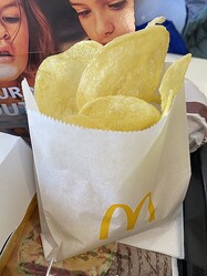 �ޥ��ɥʥ�ɤ��Ȥ����ƥݥƥ������٤��롩�ɥ��ĺ߽�X�桼��������Ƥ�����
