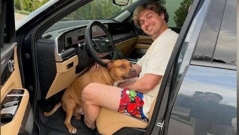 山本由伸、愛犬カルロスの“お留守番”に反響 　まさかの預け先に「ハチャメチャになって帰ってきそう」「カルロスの表情が答えよな」