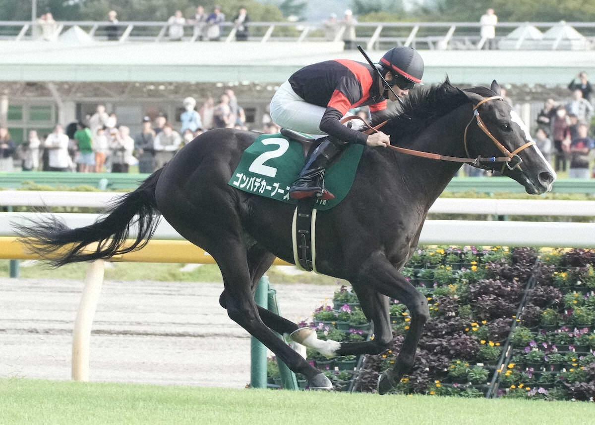 NHKマイルC4着ゴンバデカーブース、在厩で状態をチェックして今後のプランを検討