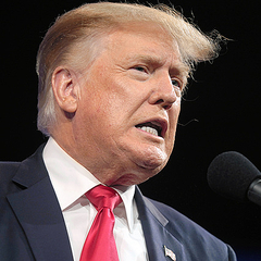 トランプ氏 大統領選の正式な出馬表明を一時検討 側近説得で見送り ライブドアニュース