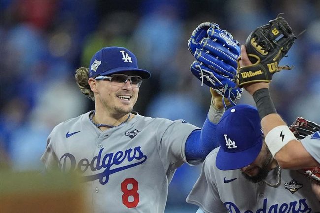 �ɥ��㡼���Υ������إ�ʥ�ǥ��ڼ̿�������������