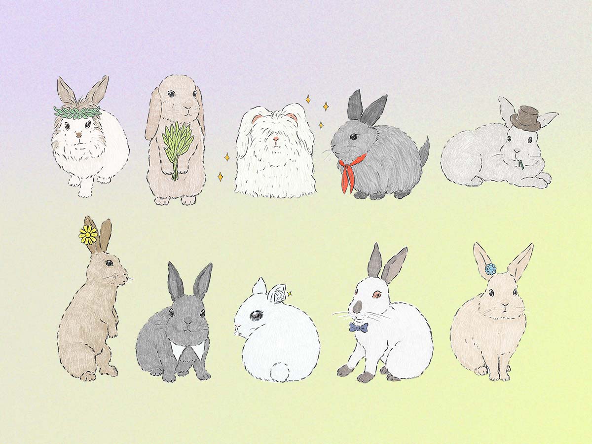 水晶玉子のプレミアムうさぎ占い 1月19日〜25日の運勢