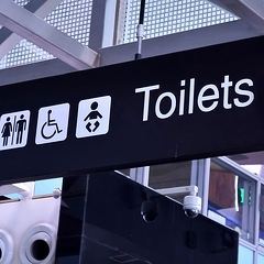 �����Υȥ���򼨤�������