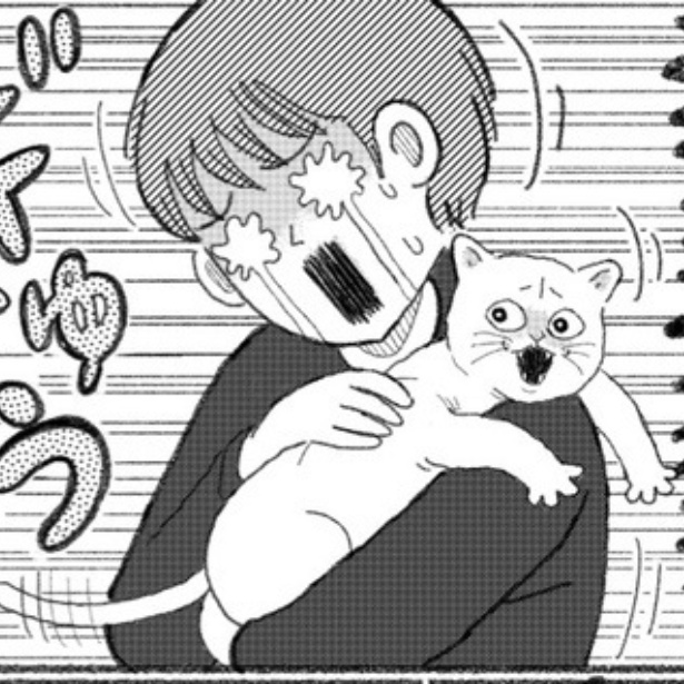 重度の猫アレルギー 漫画が話題 (2025年5月26日掲載) - ライブドアニュース
