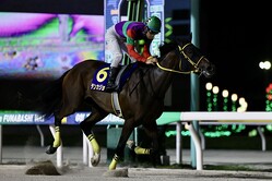 �ޥ꡼�󥫥åס��ƥ󥫥��祦�ȹ�ʬͥ��� (C)Hiroki Homma