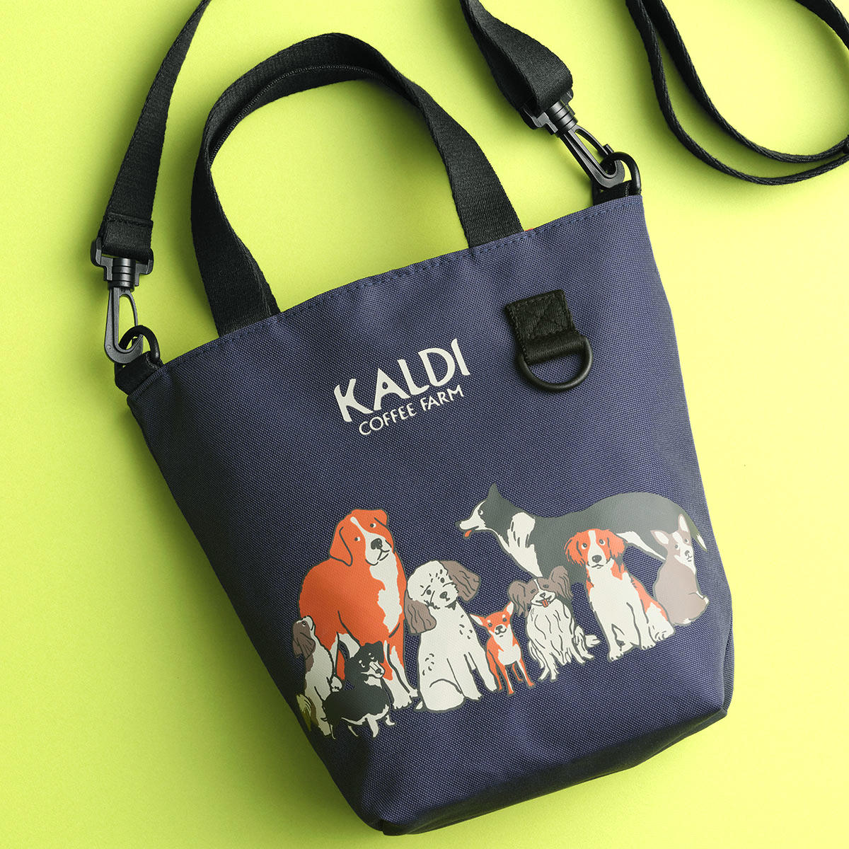 ǥ֤̤ݥХå17θХåޥʡݡۻҤʤɤ򥻥åȤˡߤ1015ޤ